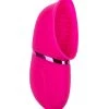 Cal Exotics Intimate Pump Rechargeable Full Coverage Pussy Pump - Pink