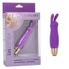 Cal Exotics Slay Buzzme Vibrator
